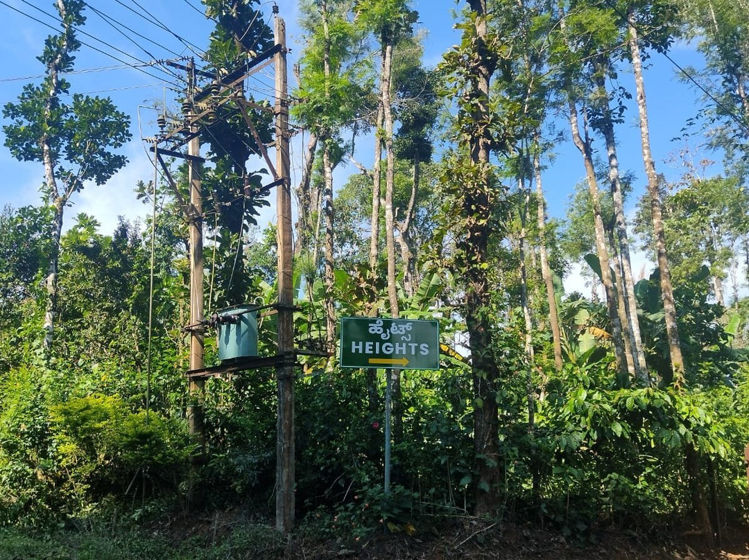 Heights Farm Stay | Coffee Estate Stay主图