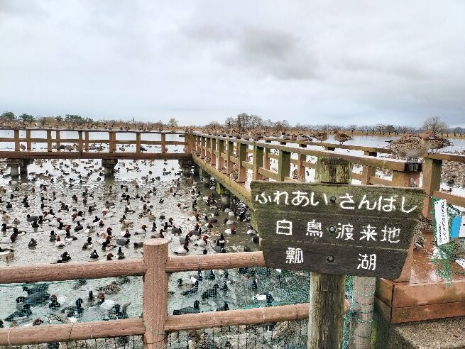 Suibara no Hakucho Toraichi-阿贺野市必去景点