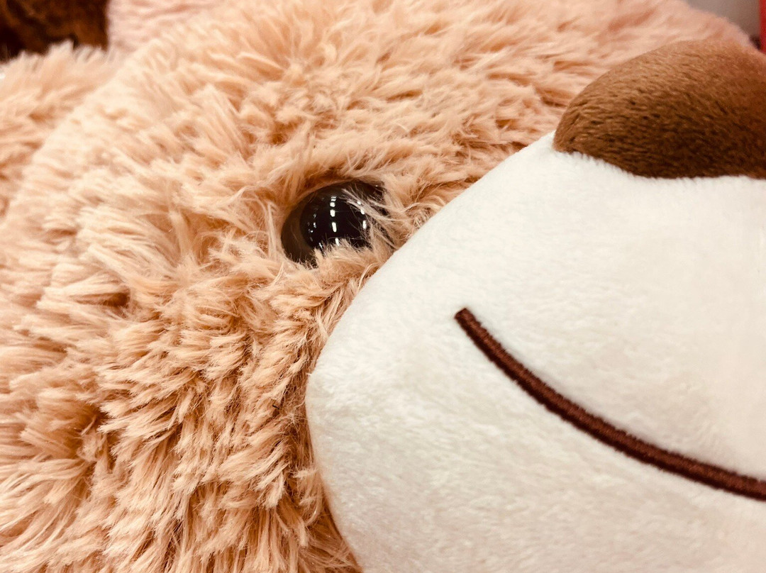 Kmart-特拉拉尔根必去景点