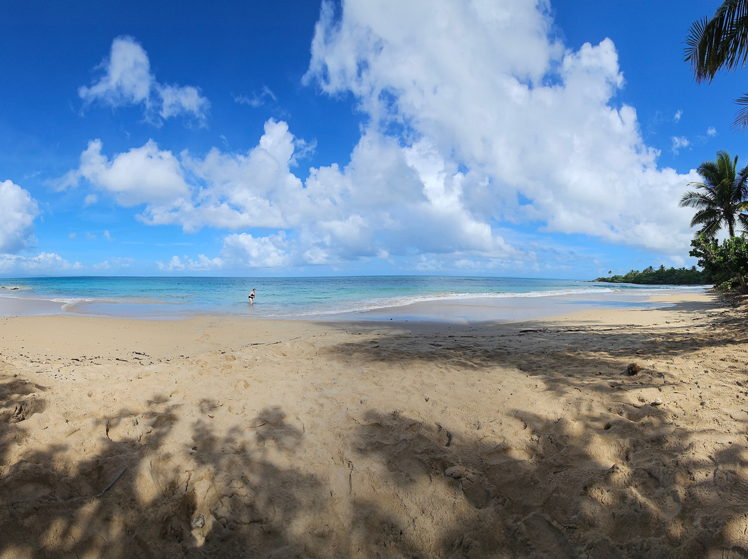 El Gallito Beach-维切克岛必去景点