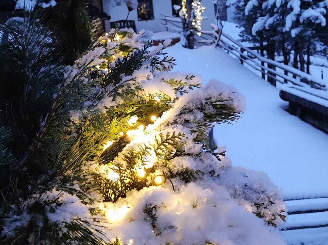 Pension Furhapter主图