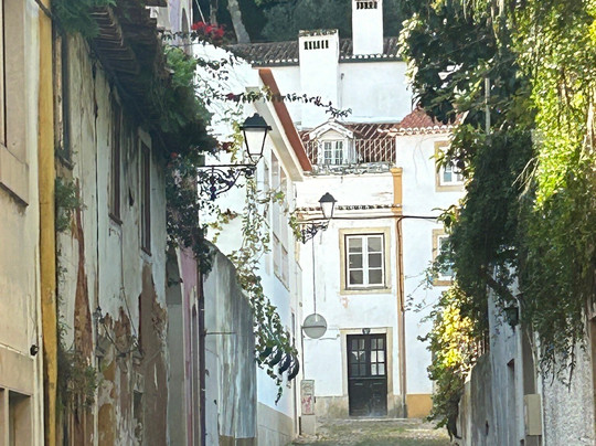 Natalia Portugalia Tours-塞新布拉必去景点