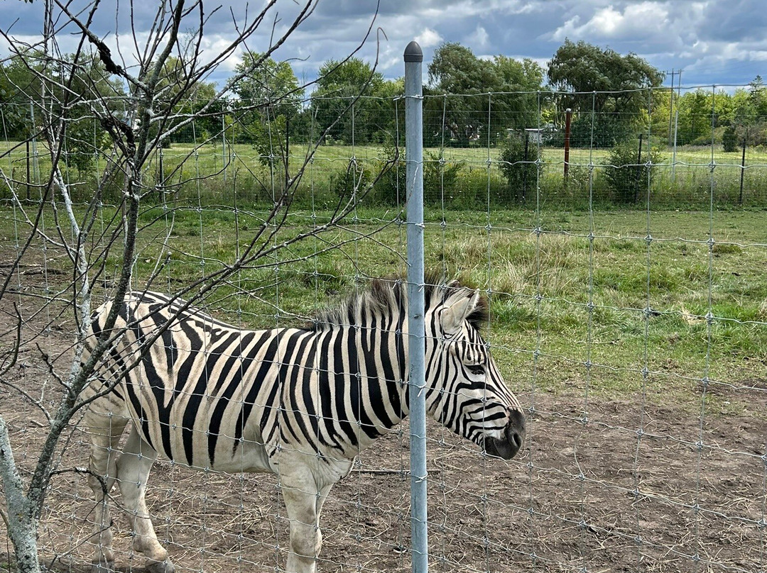 Safari Niagara-Stevensville必去景点