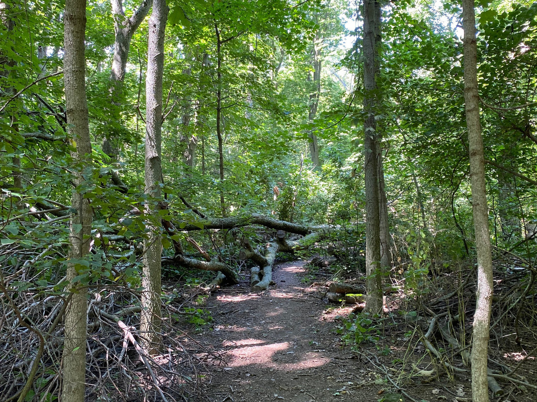 Jane Coates Wildflower Trail-Put in Bay必去景点