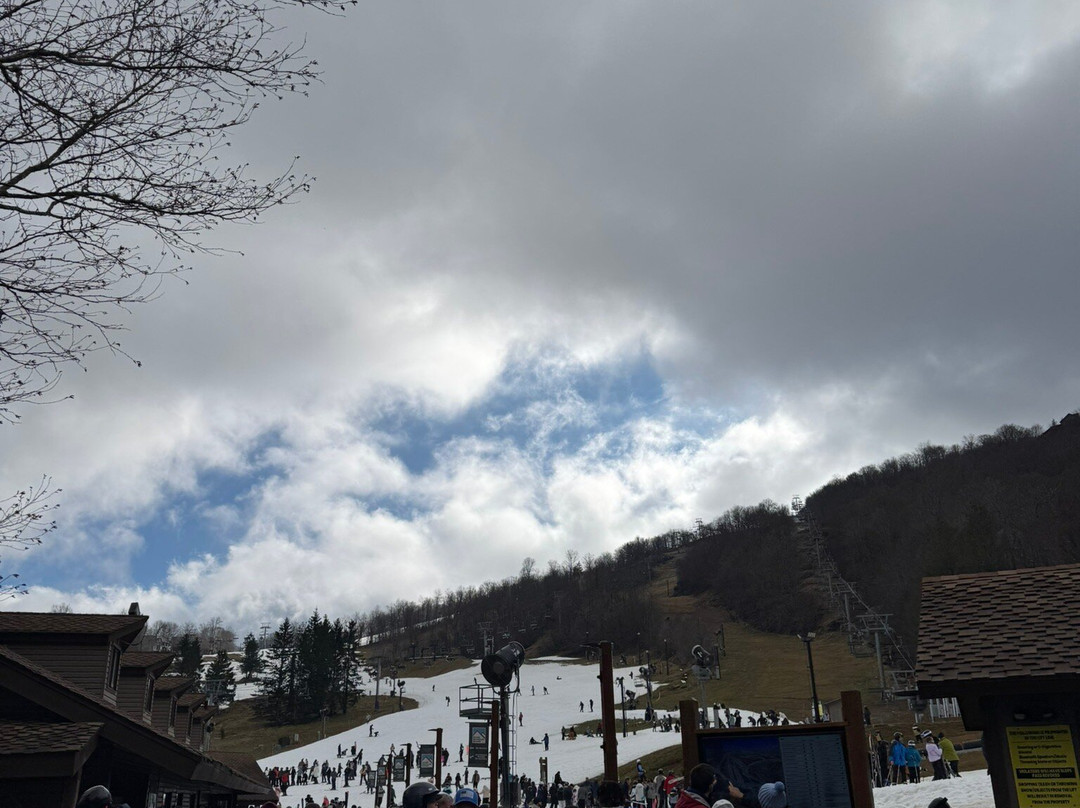 Beech Mountain Resort景点图片