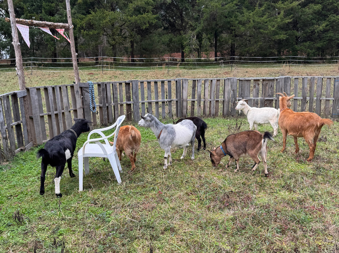 Barakah Heritage Farm-Winnsboro必去景点