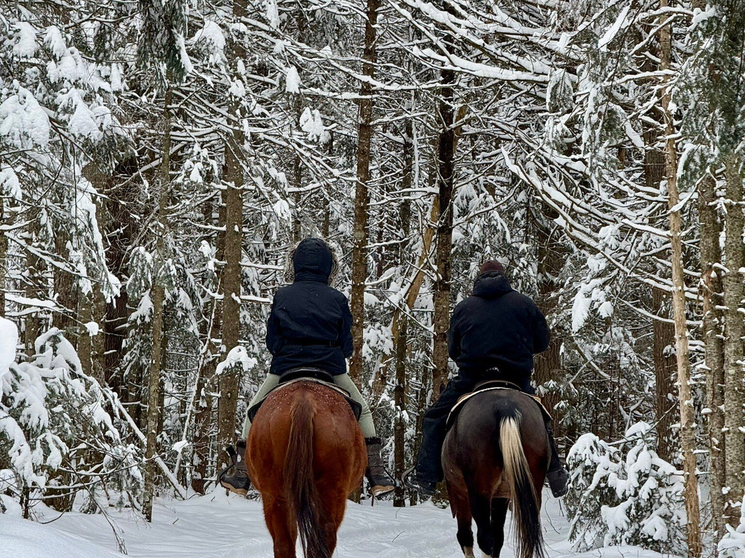 Whiteface Farm Adirondack Bed and Breakfast主图