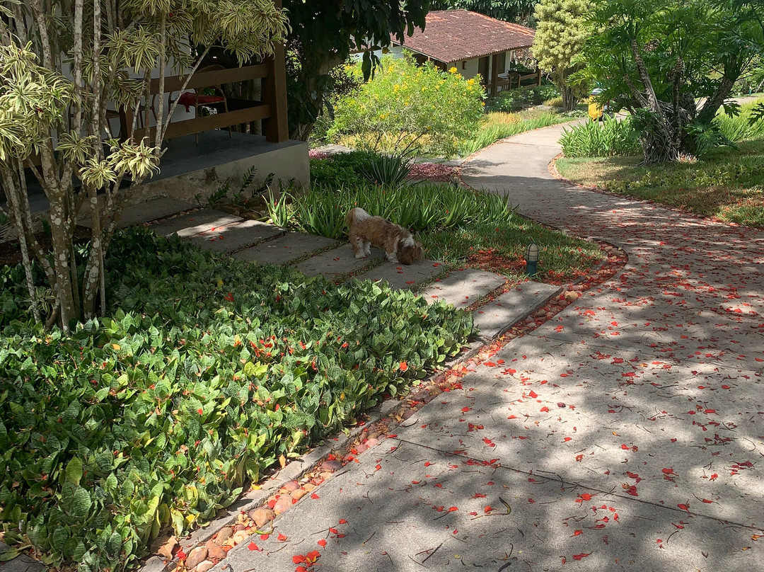 Oasis Boutique Hotel & Spa主图