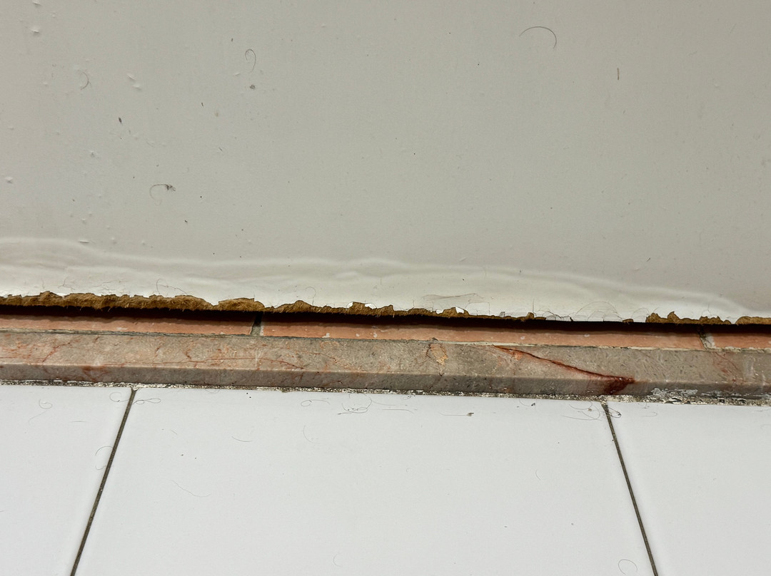 Hôtel Marhaba Club主图