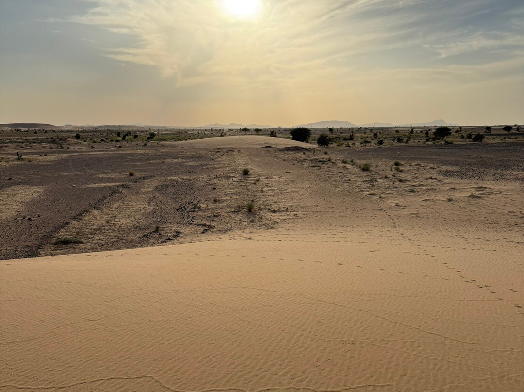 Mauritania Best Tours-诺克少必去景点