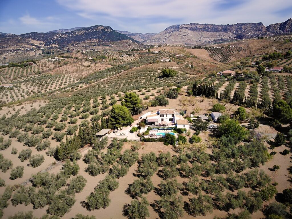 Villanueva de la Concepcion酒店住宿-Finca Amorosa