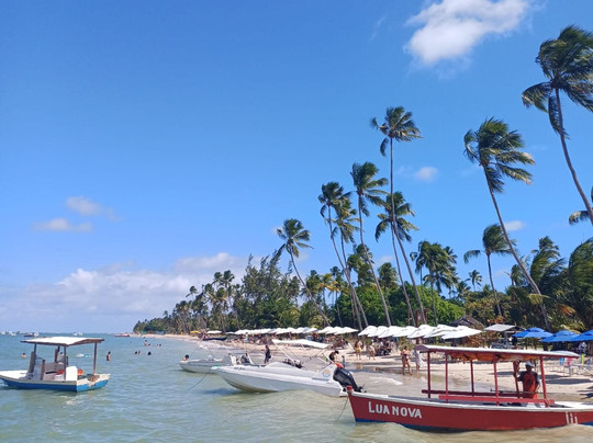 WC Receptivo-累西腓必去景点