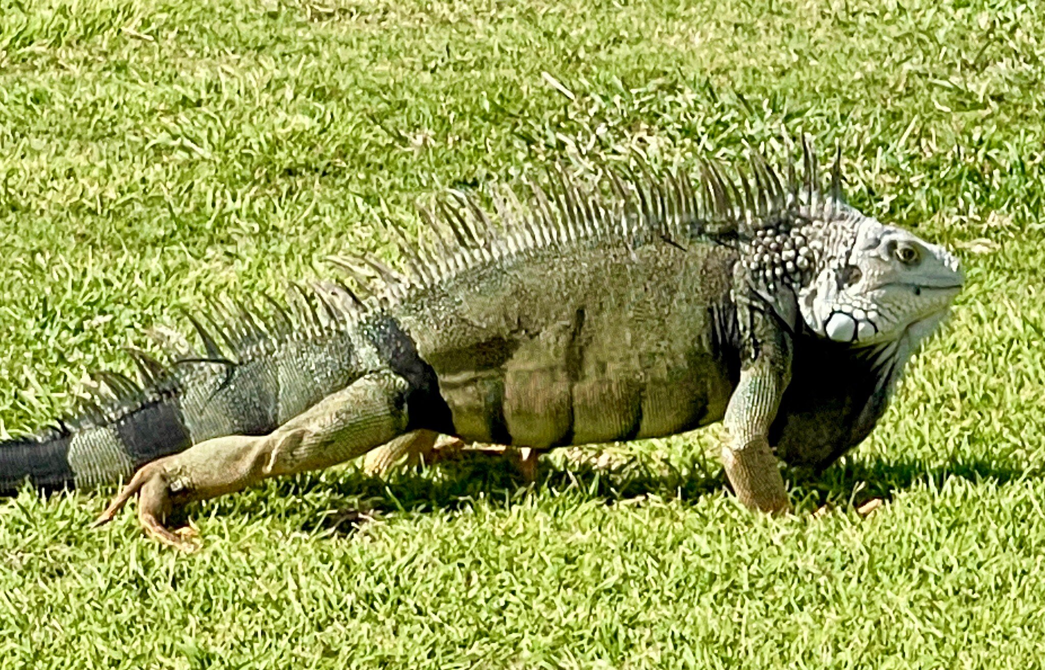 El Legado Golf Resort-官方