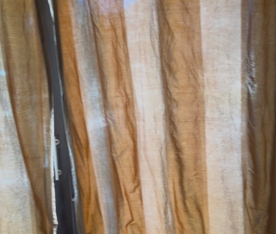 The Ylang Ylang主图