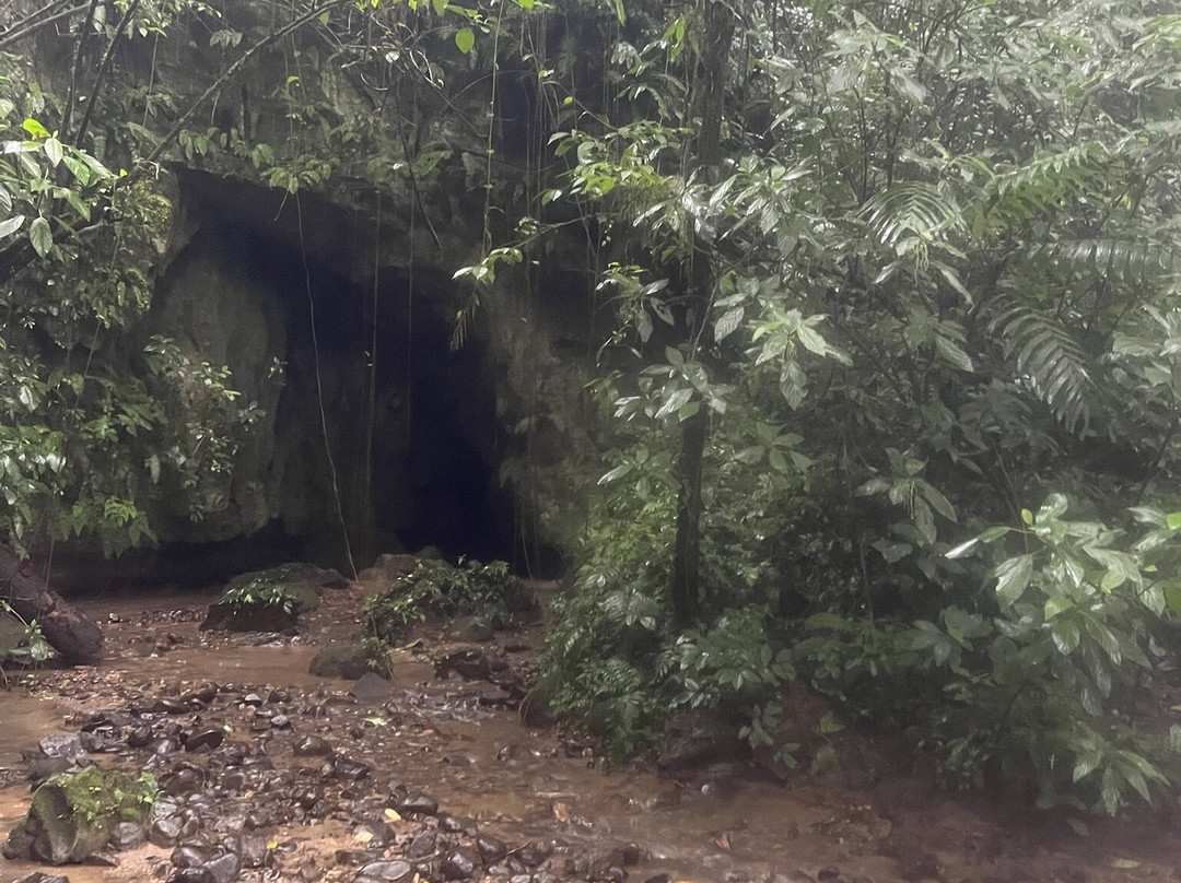 Cavernas del Venado景点图片