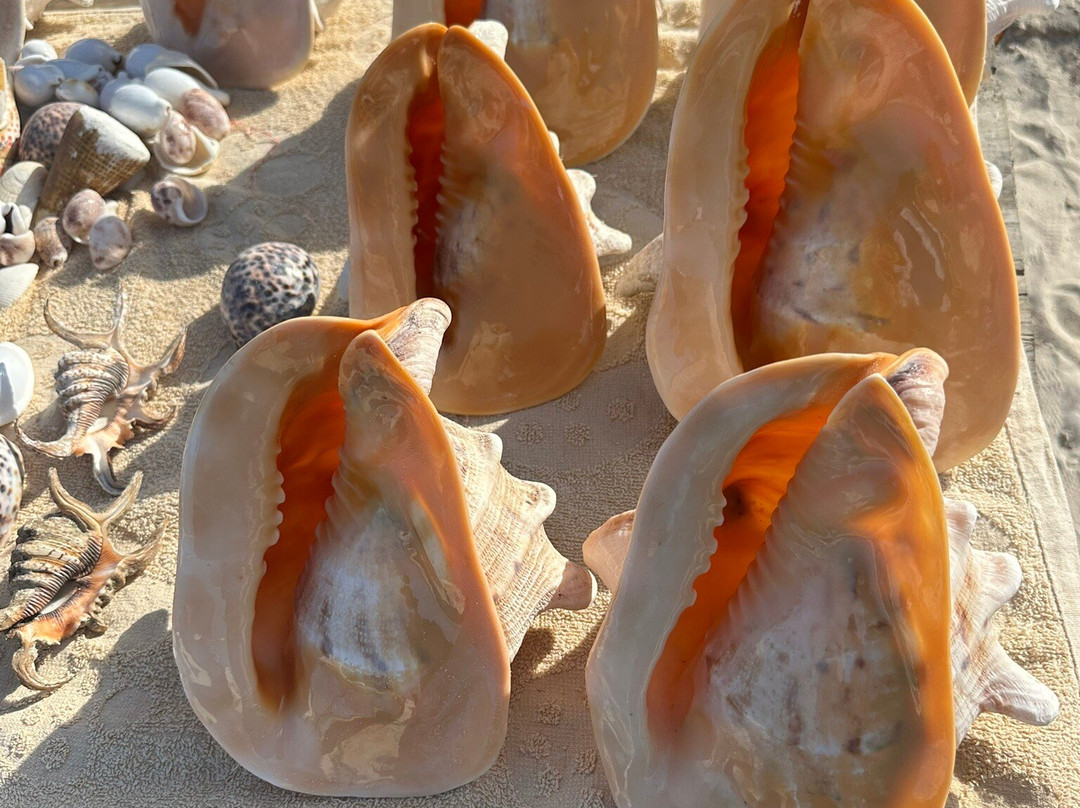Snorkelling Zanzibar Tours Company Limited-石头城必去景点