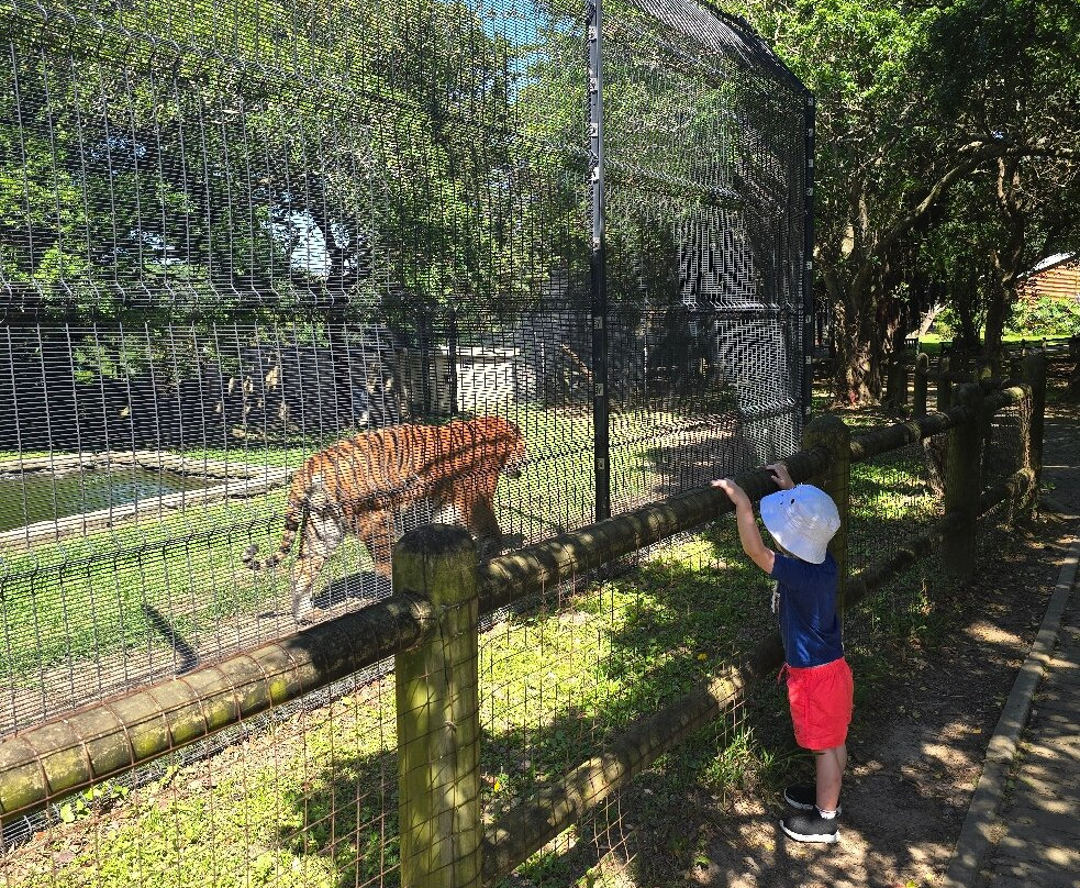 East London Zoo-东伦敦必去景点