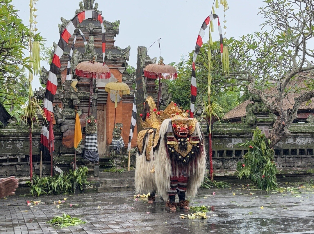 Bali Sky Tour-登巴萨必去景点