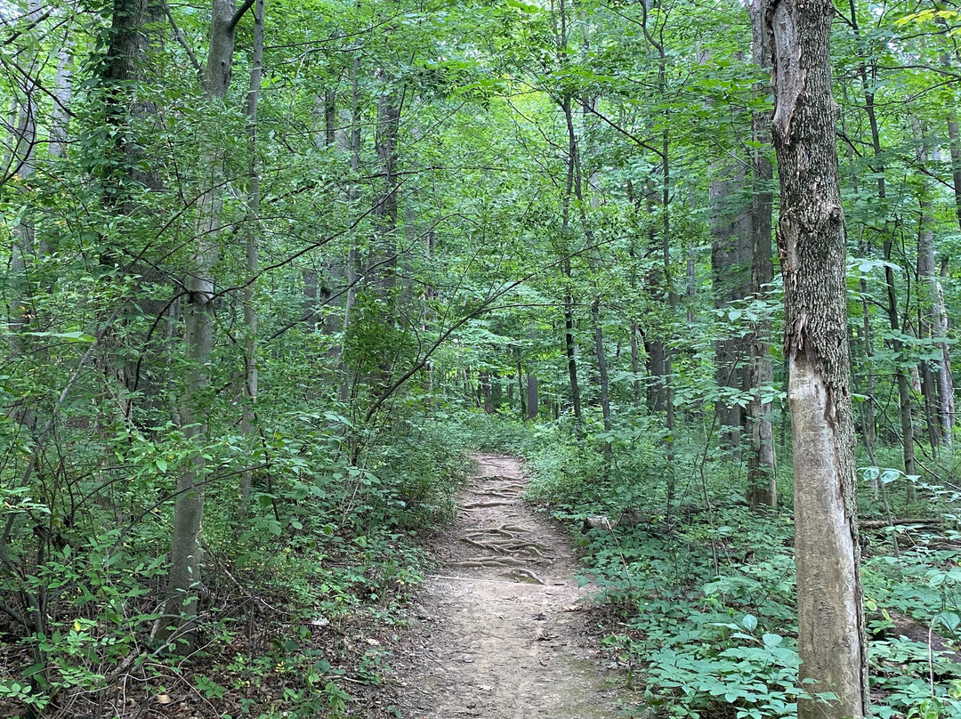Gorman Nature Center景点图片
