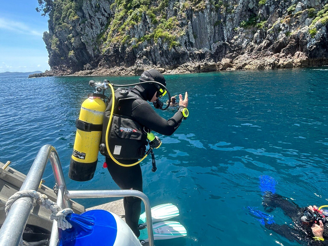 Dive Zone Whitianga-菲蒂昂格必去景点