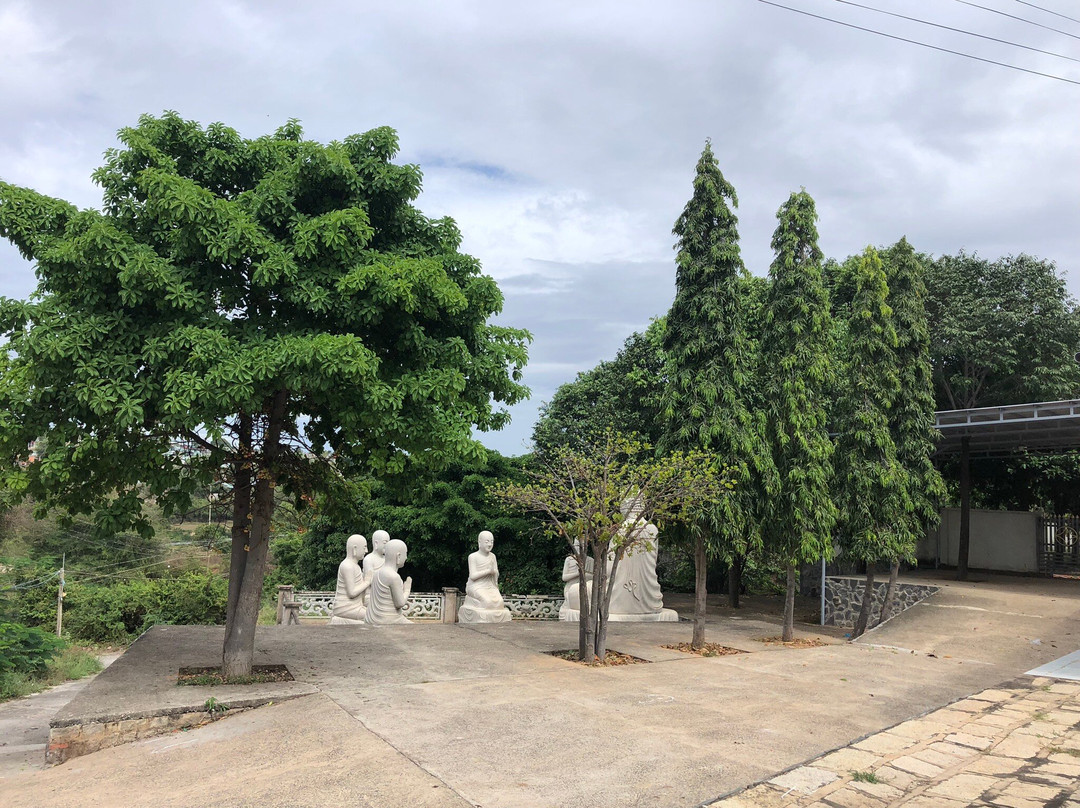 Buu Son Temple景点图片