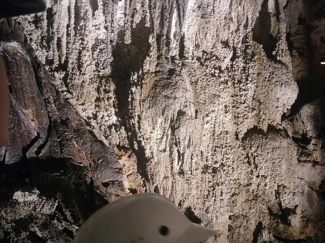 Ngarua Caves-莫图伊卡必去景点