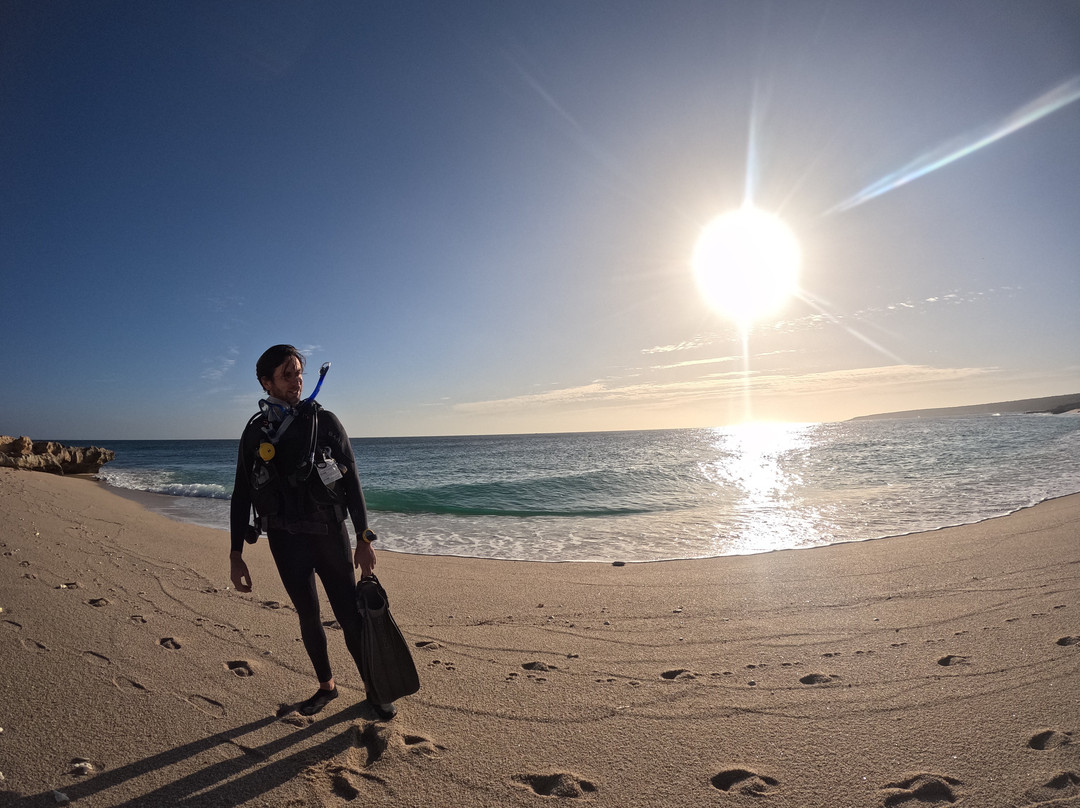 X DIVE MX-拉巴斯必去景点