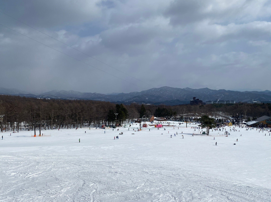Kusatsu International Ski Place景点图片