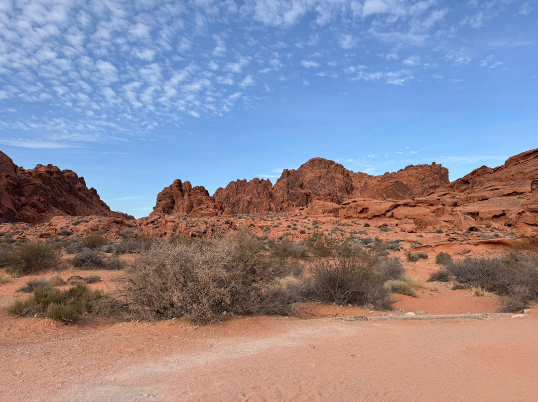 Mouse's Tank-欧弗顿必去景点