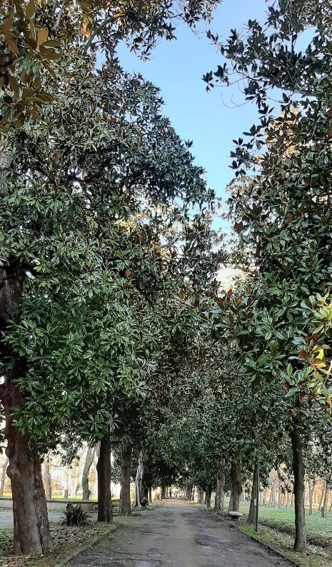 Parco Ex Inps Pietro d'Abano-Battaglia Terme必去景点