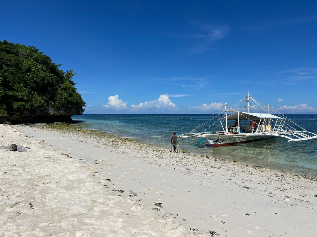 阿蒙燕丽海滩度假村主图
