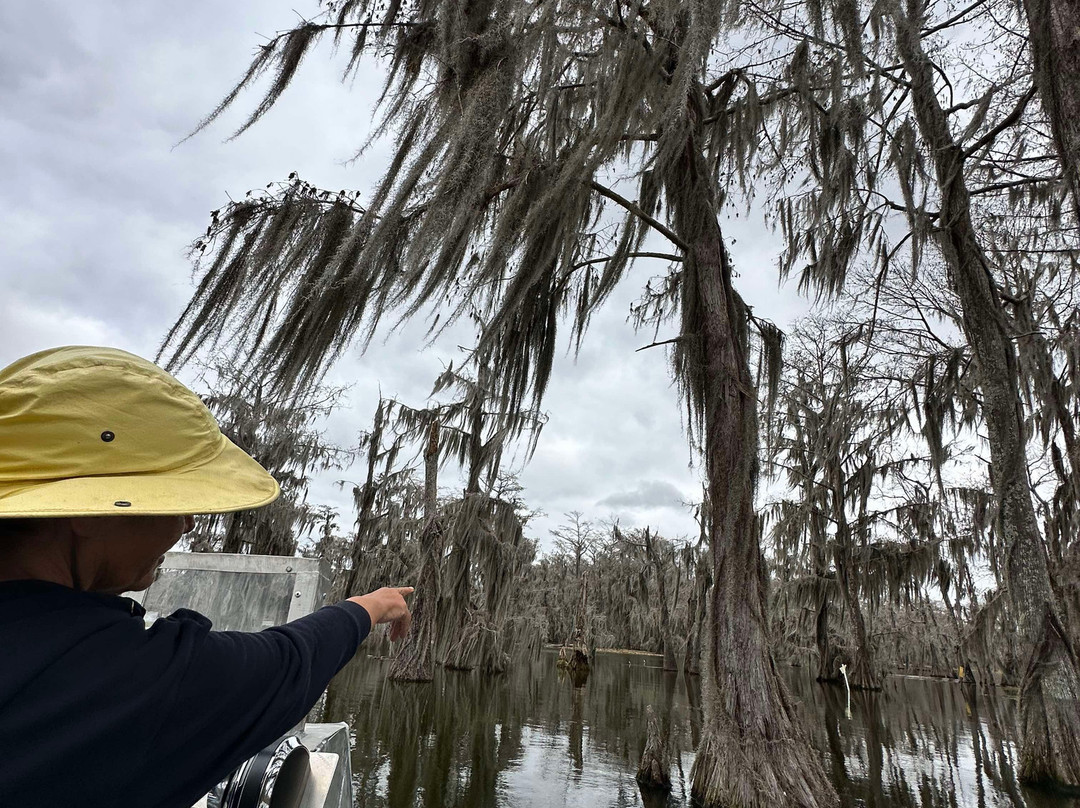 Louisiana Swamp Tours景点图片