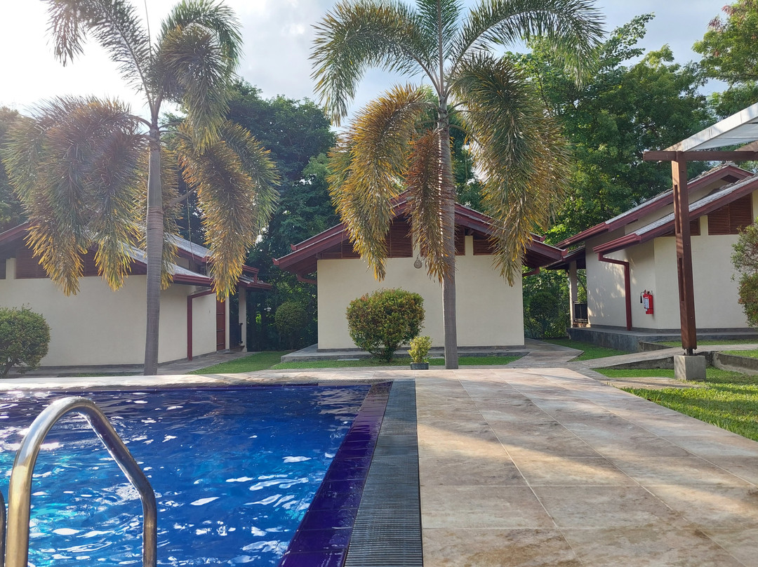 Jungle Paradise主图