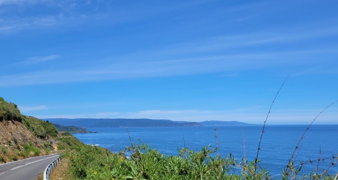 Playa Curiñanco-Curinanco必去景点