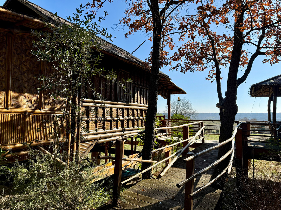 Domaine du Mas d'Alphonse主图