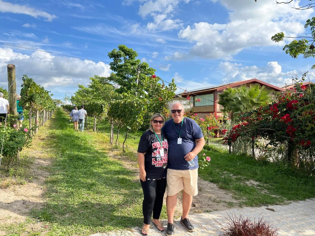 Vinícola Vale Das Colinas