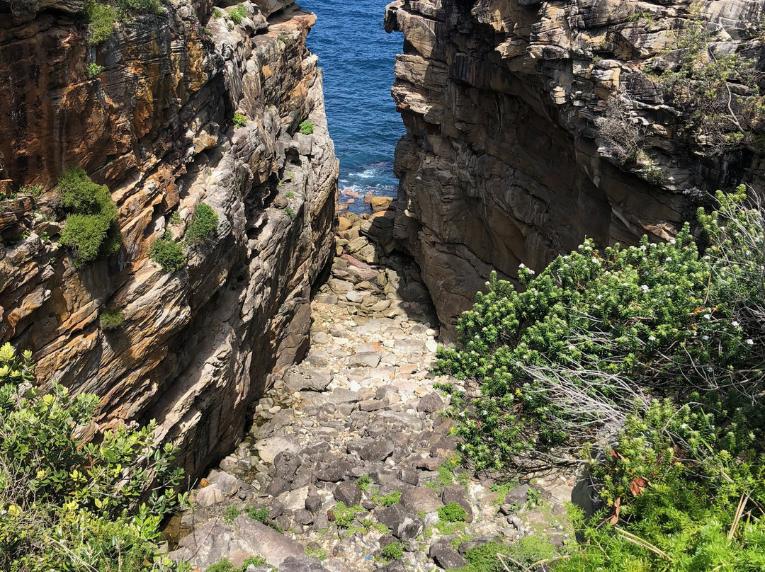Diamond Bay Reserve-Vaucluse必去景点