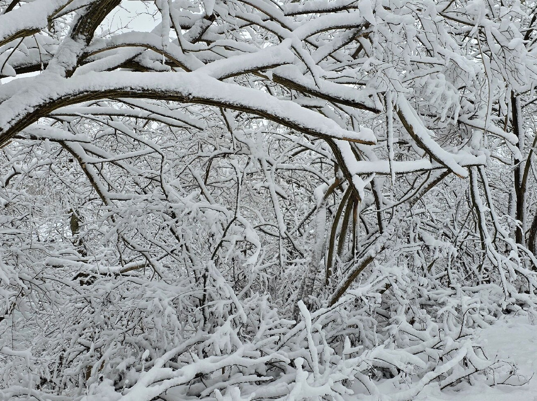 Crains Run Nature Park