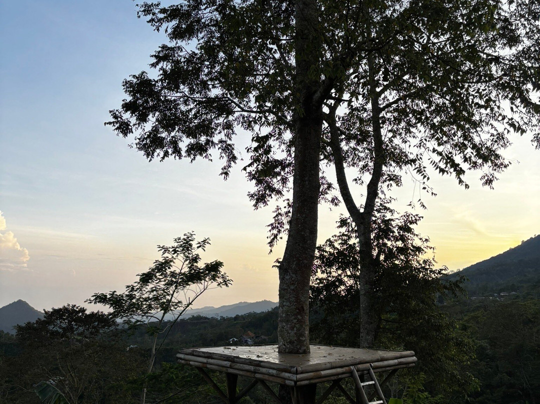 Wanagiri Campsite主图