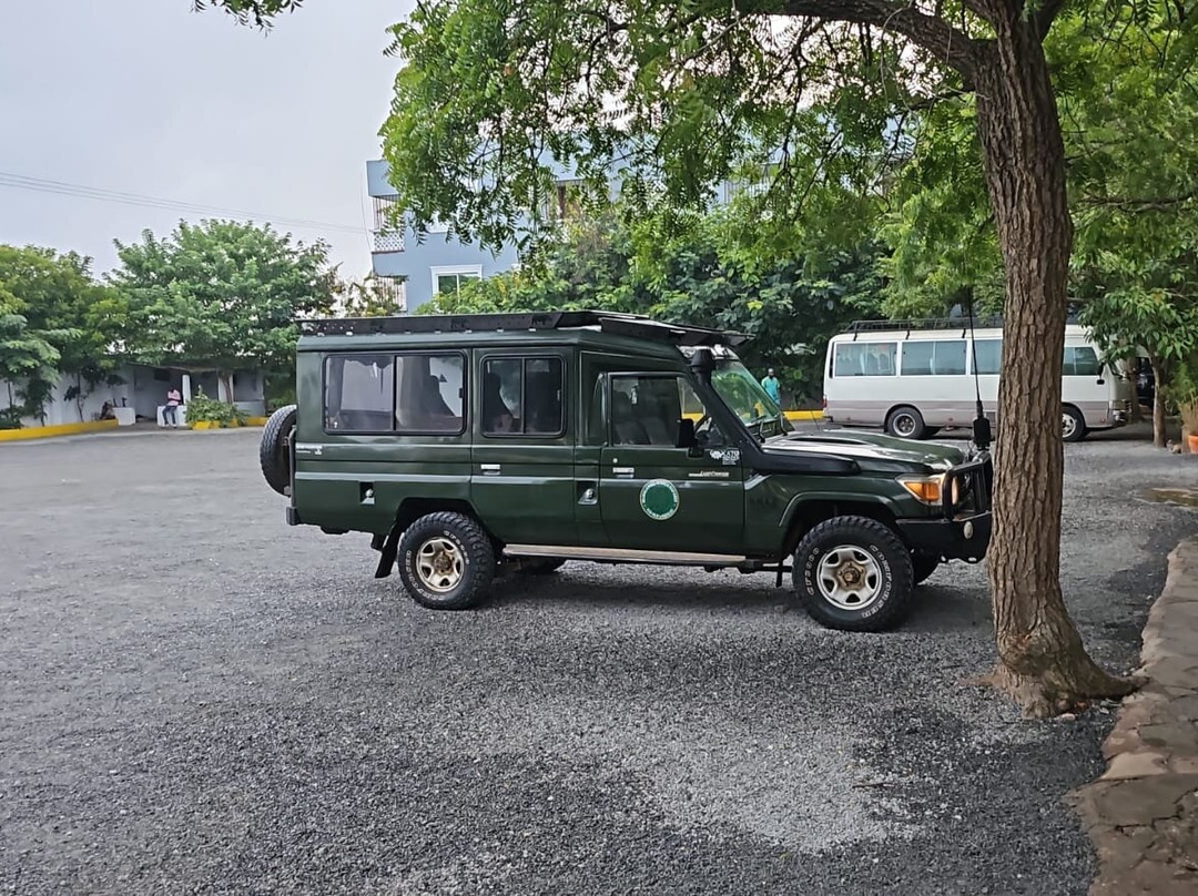 Elara luxury Safaris-蒙巴萨必去景点