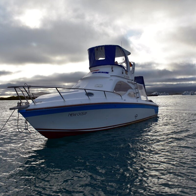 Ferry Galápagos - New Ocean-维里亚米尔港必去景点