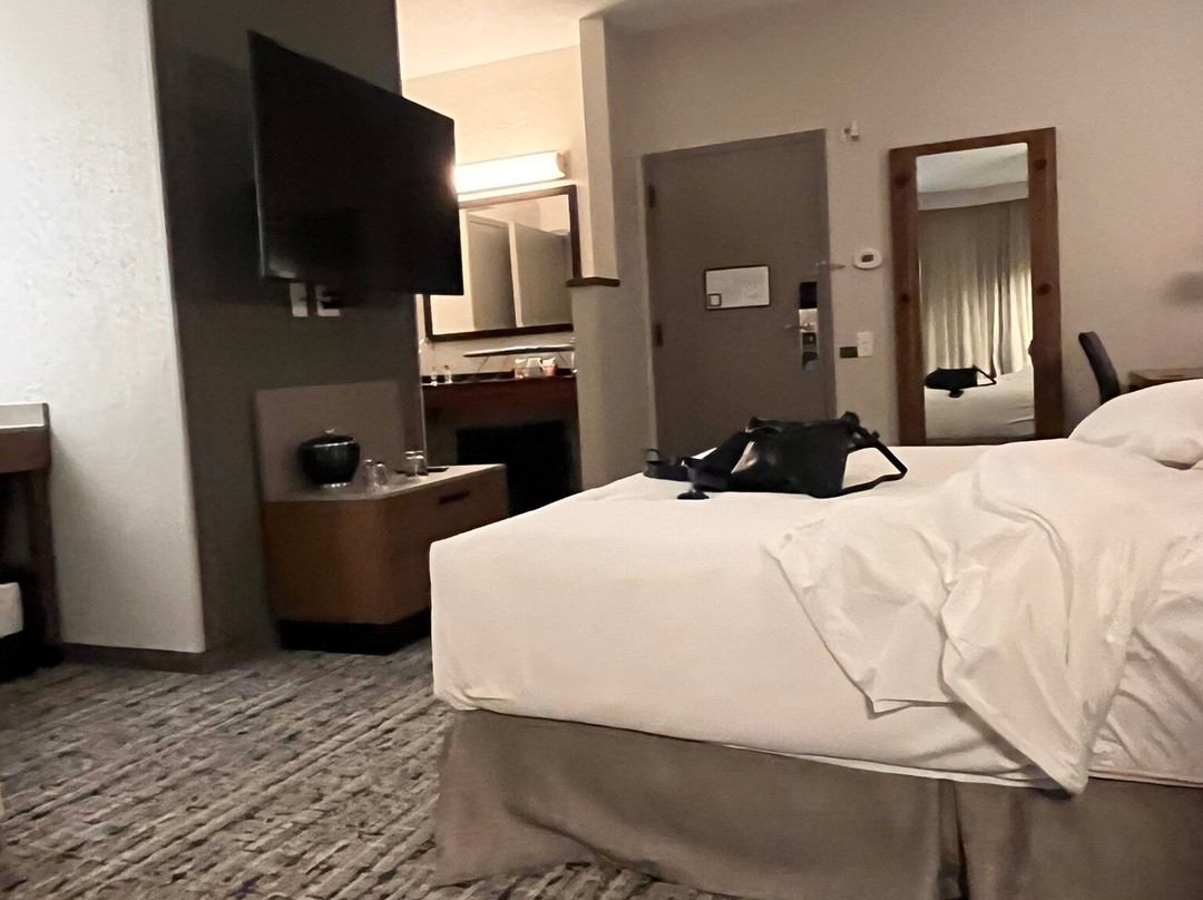 Hyatt Place Kansas City/Overland Park/Metcalf主图