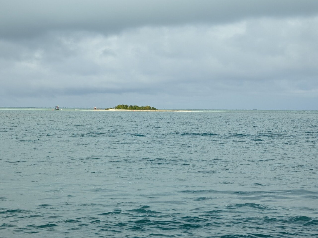 Les Amis De La Mer-Sainte Rose必去景点