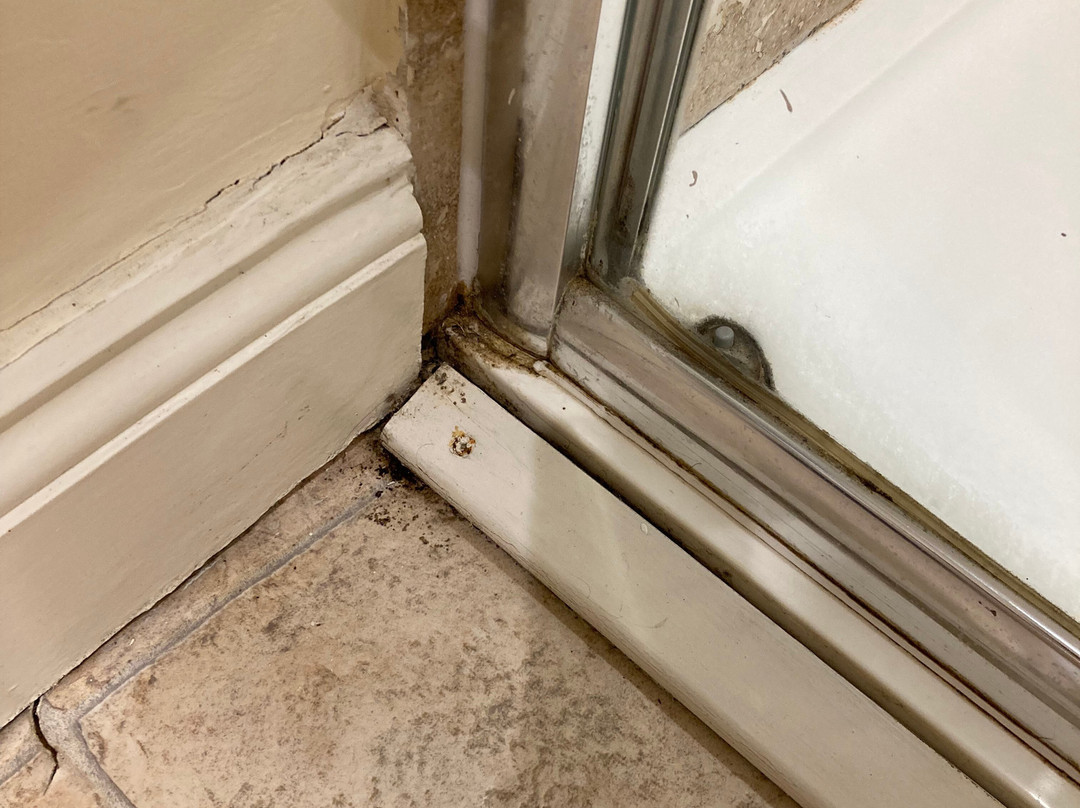 Tibbiwell Lodge主图