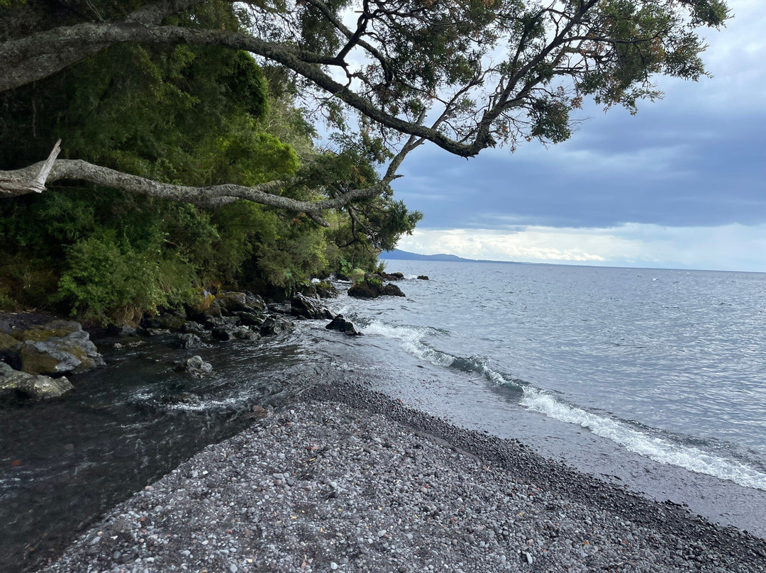 Canopy Chile-巴拉斯港必去景点