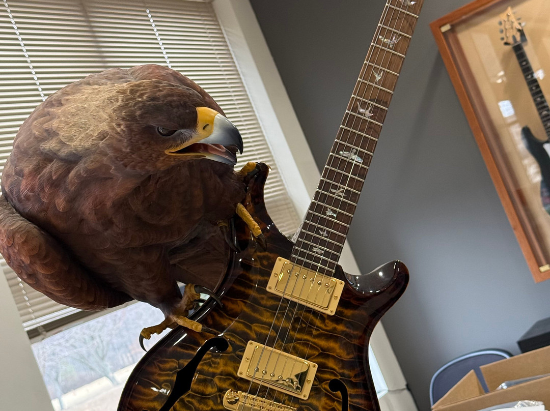 Paul Reed Smith Guitar Factory Tour景点图片