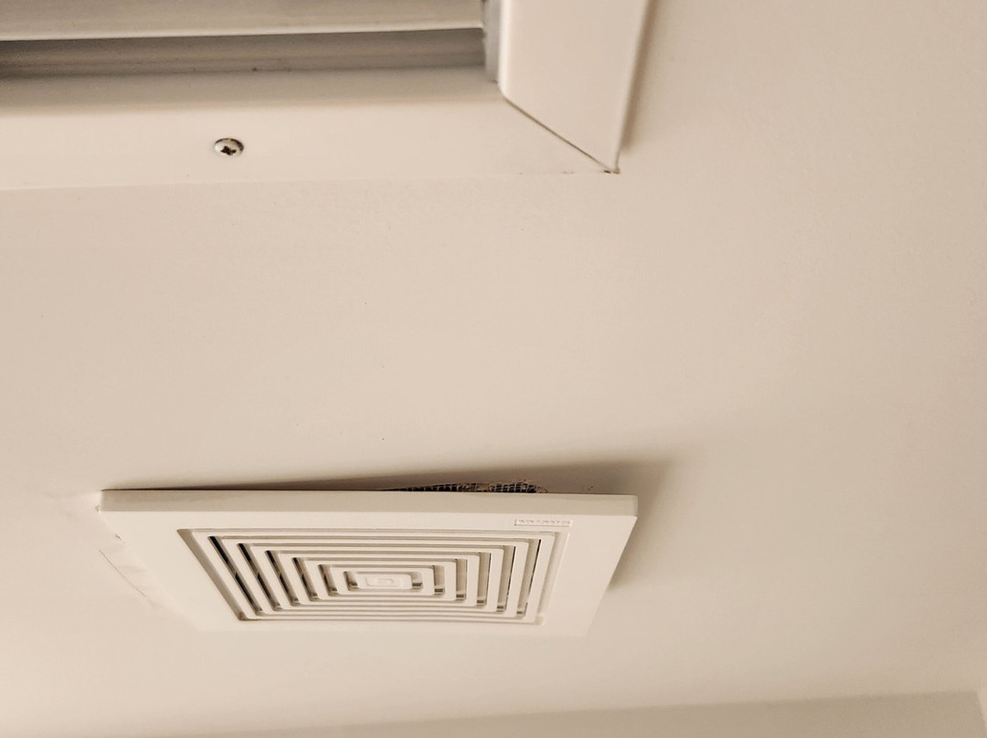 Beach Haus Bal Harbour主图