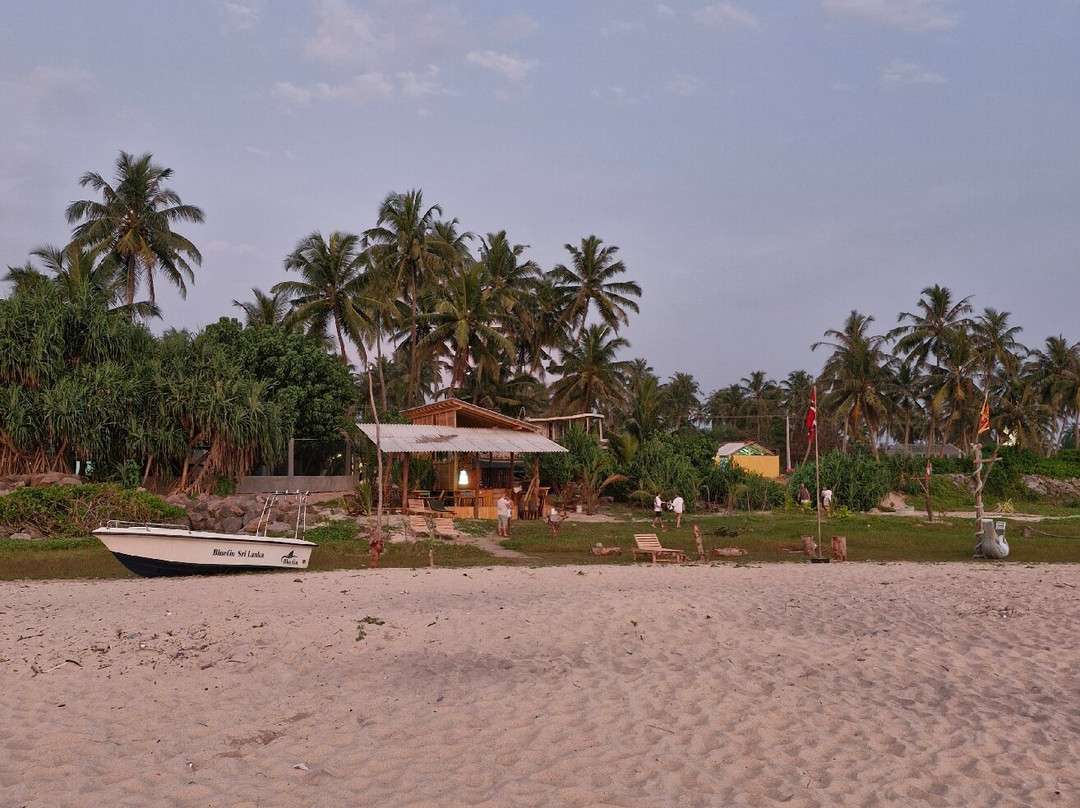 Bluefin Safe Beach-希克杜沃必去景点