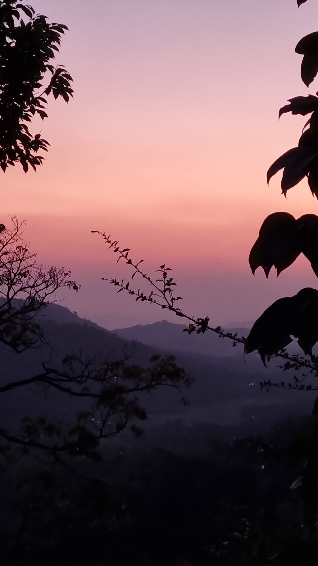 Spice Tree Munnar-官方
