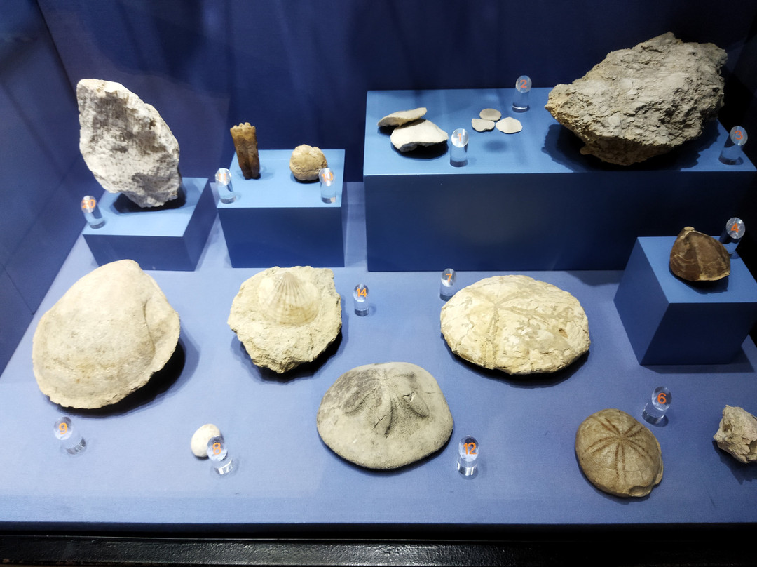 Castillo del Moral-卢塞纳必去景点